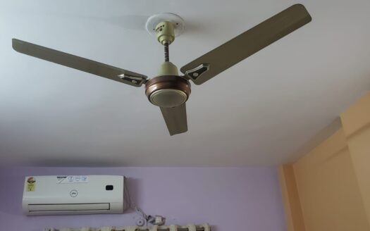 1 ROOM- PENTHOUSE- 1 GIRLS- AMBAWADI- RR861